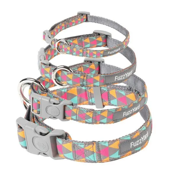 15% OFF: FuzzYard Pop Dog Collar