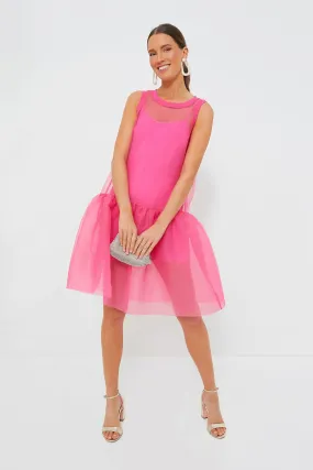 Pink Organza Rib Dress