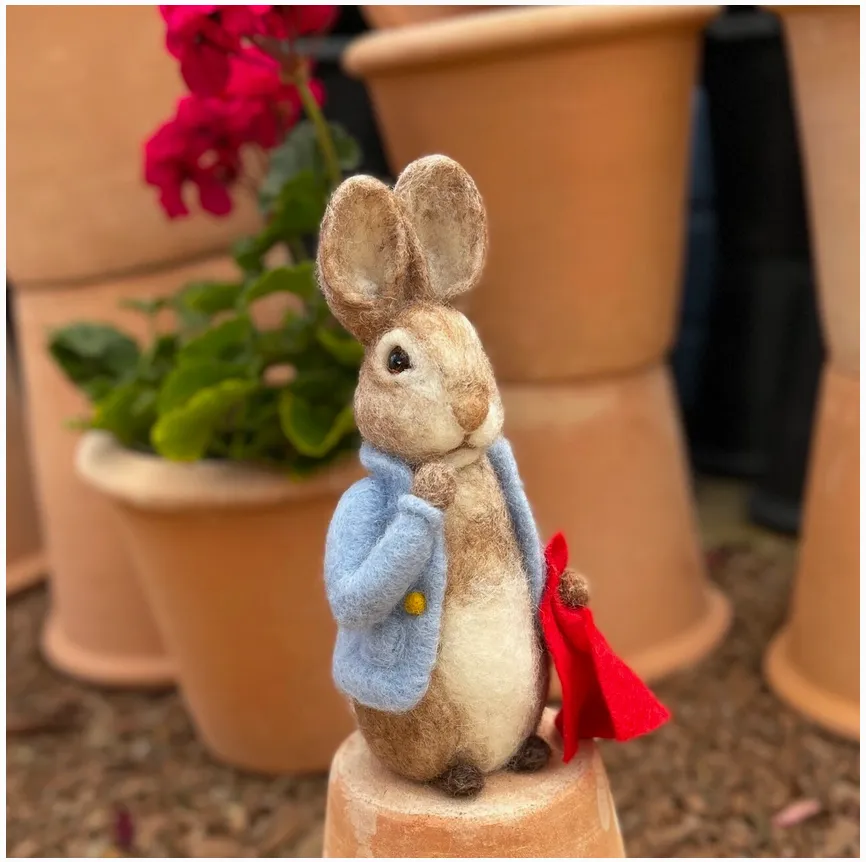 The Crafty Kit Company | Beatrix Potter - Peter Rabbit and His Pocket Handkerchief Needle Felting Kit