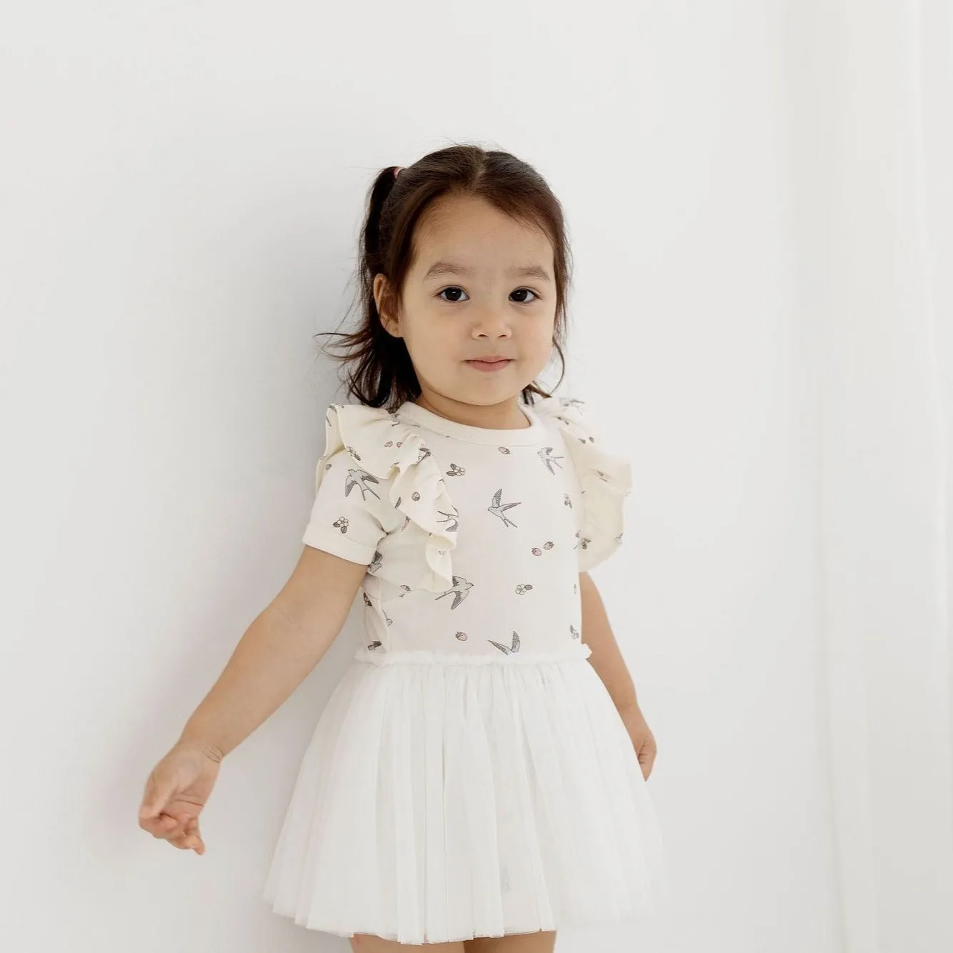 Tutu Dress | Swallow Print